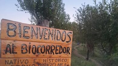 Un biocorredor para proteger la naturaleza.