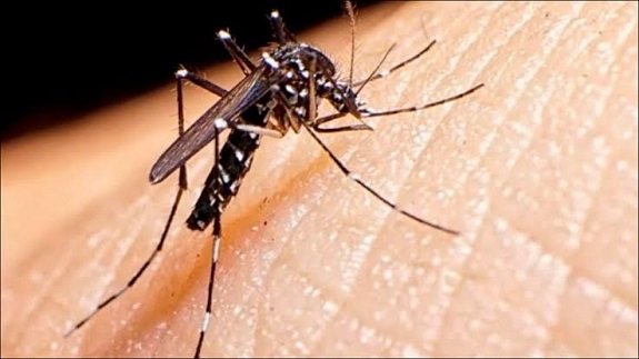 El dengue representó uno de los principales desafíos de salud. 