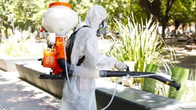 Dengue: acciones y estrategias de prevención en La Matanza.