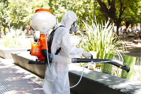  Dengue: acciones y estrategias de prevención en La Matanza. 