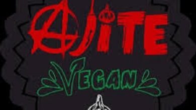 El Ajite Vegan: una feria autogestiva que impulsa el veganismo.