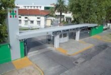 Aorta. Enfermedades de la aorta: advierten por cuadros silenciosos