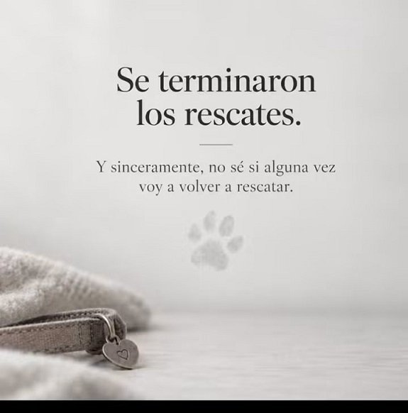 Huellas Unidas: un refugio pone en pausa los rescates.