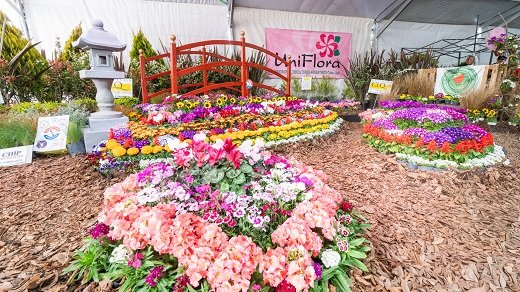 Fiesta Provincial del Plantín Floral.
