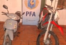 Drogas. La PFA decomisó un centro de cultivo.