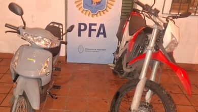 Drogas. La PFA decomisó un centro de cultivo.